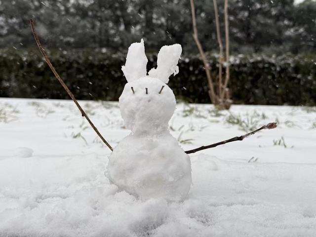 京城初雪如约而至！雪落无声，人游有影