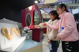 “神秘蛇境”生肖特展在自然博物馆开幕，科学和文化角度揭示蛇的奥秘图片