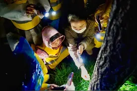 长宁这处生境花园夜间有一群“小精灵”出没……图片