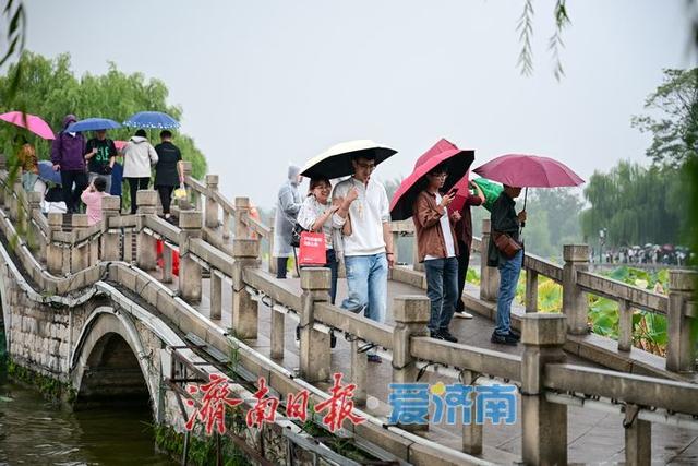 一年四季 泉在济南 | 烟雨大明湖邂逅“夏雨荷”，国庆雨中游热度攀升