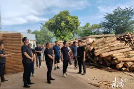 广东连州湖南宜章联防联治护青山图片
