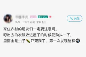吓到尖叫！收衣服时多看了眼……最近又到高峰期，很多人中招！图片