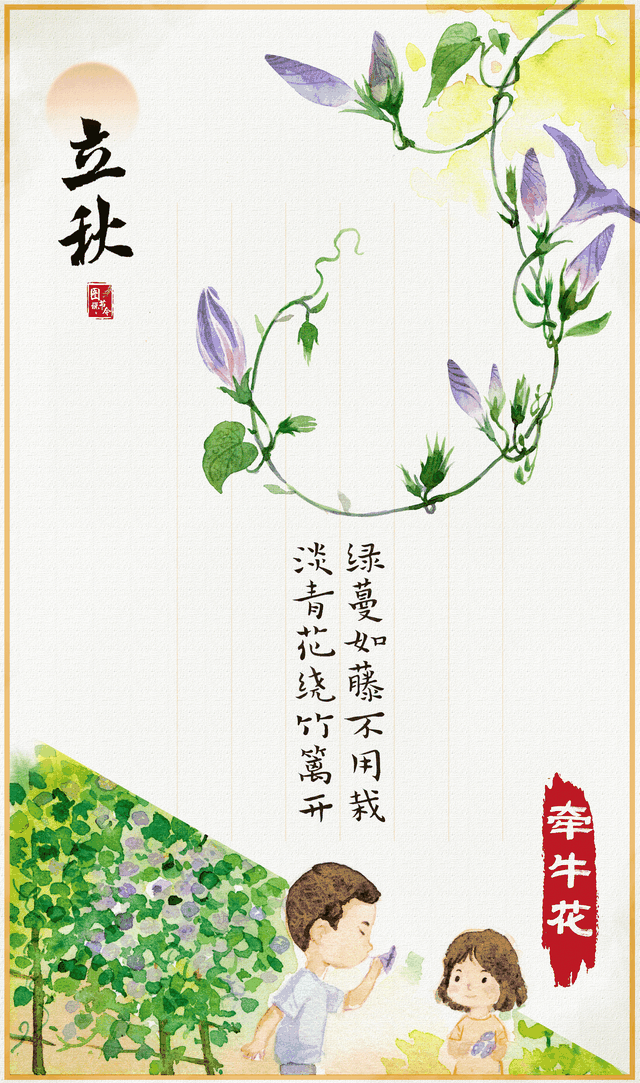 立秋时节读懂草木的“节气时钟”