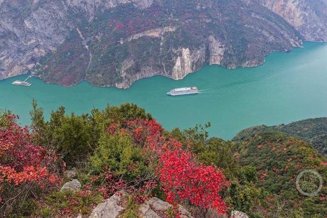 大地“披浓妆” 巫峡红叶进入最佳观赏期