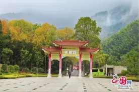 黄山秋天：就是一年中色彩最美、最丰富的季节图片