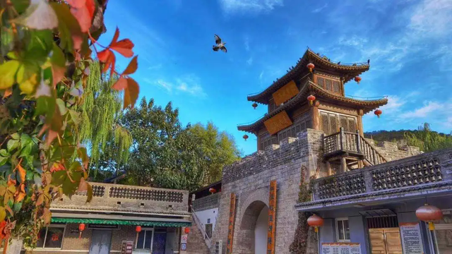 抢“鲜”体验！北镇市福果采摘季启幕