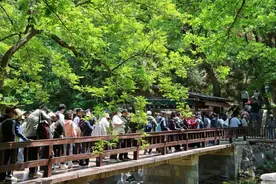 青岛入境游订单量同比增长91% 跻身全国入境游十大热门目的地城市图片