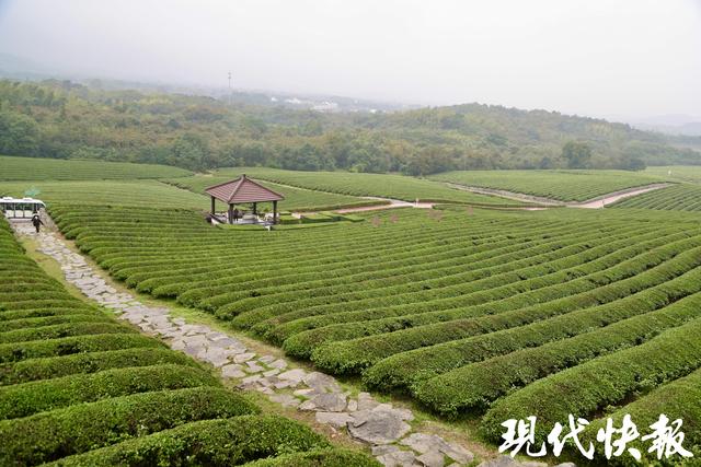 2025全国地方媒体总编辑看无锡｜绿道串景，龙池山交出“低碳文旅”新答卷