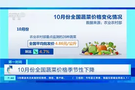 降价了！供应形势稳定向好，10月份全国蔬菜价格季节性下降图片