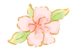 火锅调料、山上野花……昆明的生物多样性，绿化带也“不放过”~图片