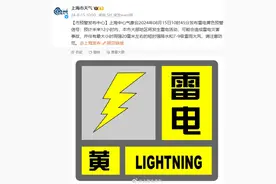 上海发布雷电黄色预警：伴有短时强降水+雷雨大风！高温还会冒头图片