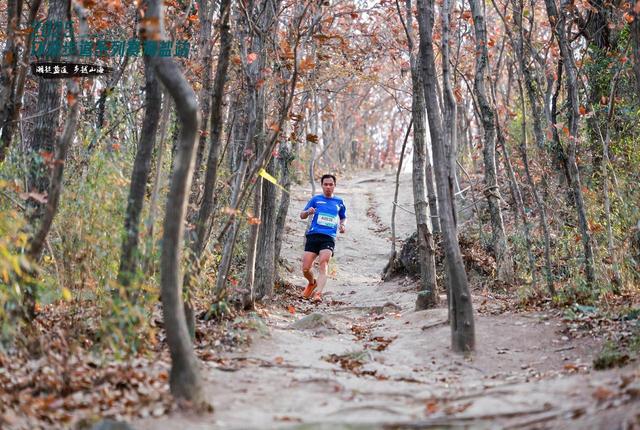 潮起盐途，步越山海 2025环浙步道系列赛海盐站活动举行