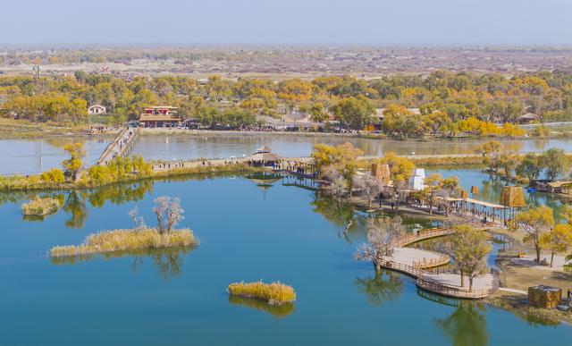 新疆：沙漠胡杨入画来