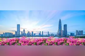 国务院批复：深圳城市定位再升级，都市核心区再扩容！图片