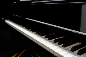 价值2.8万钢琴从广东托运至甘肃，业主收货3年后起诉物流公司损坏钢琴索赔被驳回图片