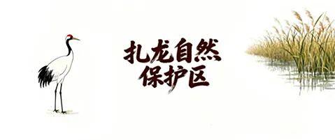 “十一”假期 电网人带你打卡最美龙江