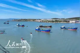 山东荣成：夏季海上生产如火如荼图片