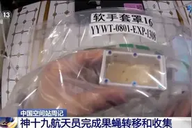 果蝇实验进展如何？“智能管家”有何妙用？来看神十九乘组周记图片