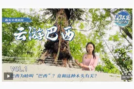 这就是巴西丨“Brazil”是怎么来的？可以从中国“瓷器”说起......图片