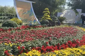 重阳节，河南多家景区有优惠→图片