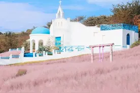 粉黄红绿紫……成都开启最美秋天！图片