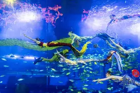 Guangzhou Grandview Aquarium launches undersea show图片