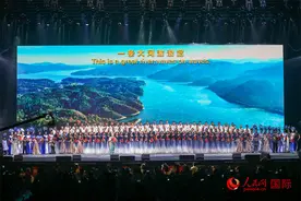 2025阿联酋华侨华人春晚在迪拜举行图片