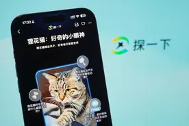 支付宝“探一下”：AI可拍图识别花草、宠物、潮玩......图片