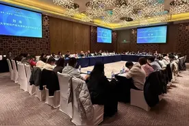 如何应对新型网络谣言“皮套论”，这个研讨会在沪召开图片