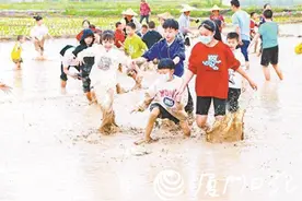 厦门迎来清明假期游客小高峰，各大景区公园赏花踏青人气旺图片