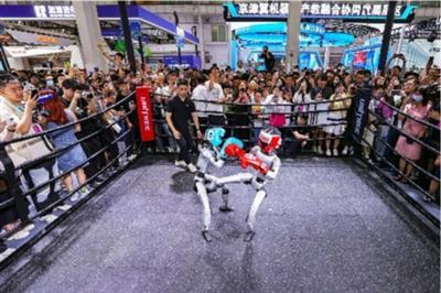 2025世界机器人大会在北京举行 人形机器人企业参展数量创新高