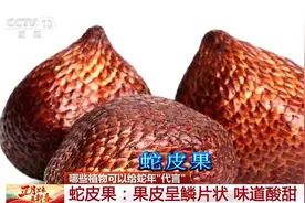 蛇皮果、蛇瓜、蛇舌兰……哪些植物可以给蛇年“代言”？图片