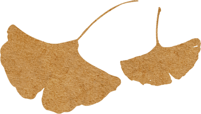 赶紧拍照去！龙泉驿出片指南来了→