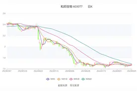 和邦生物：2024年上半年净利润同比下降68.81% 拟10派0.2元图片