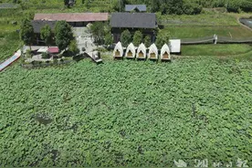 宣恩：民宿热 激活乡村旅游“一池春水”图片