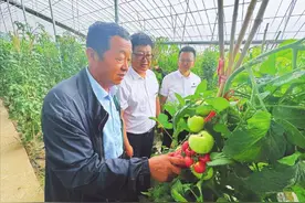 内蒙古农村商业银行：服务“三农三牧”彰显初心如磐图片