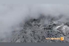 曲靖多地气温已降至零度以下！ 11日中北部有雨夹雪或小雪图片