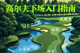 扫盲！一口气看懂高尔夫→图片