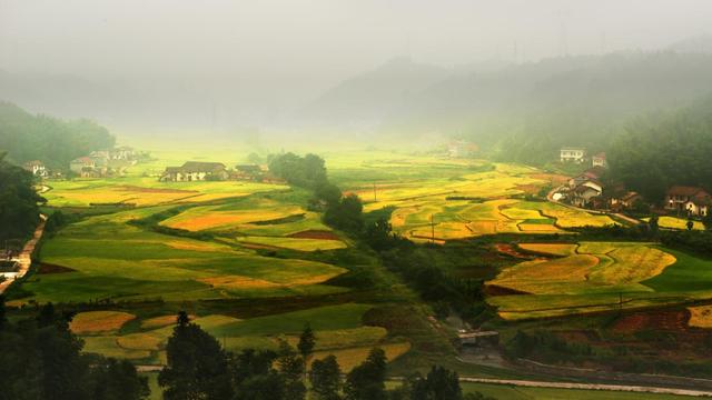 组图丨炎陵：公路在云雾中延伸，故事在田野间生长