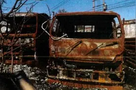 焚草开荒连毁7车！上海老太央求路人报警后逃离现场……图片