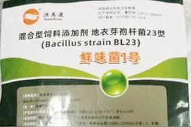 2023工博会 | 上海海洋大学：去除水产品土腥味有妙招图片