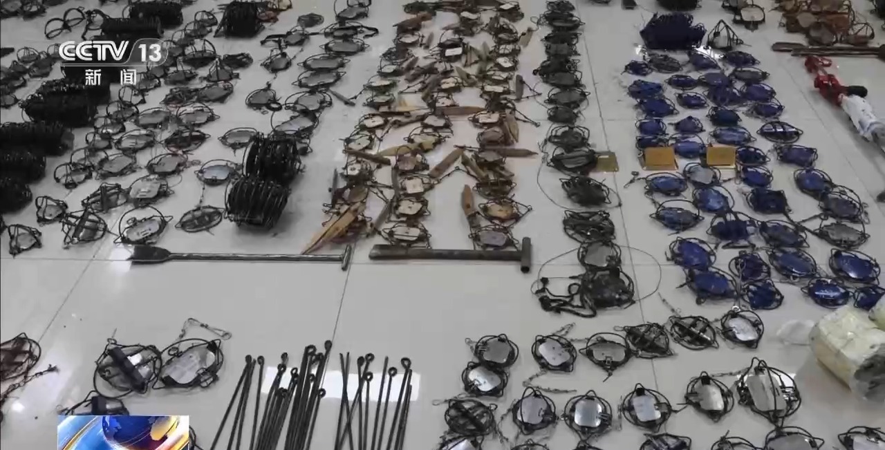 野生博主怎么赚钱的