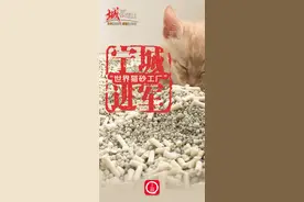 “城”势而上｜宁城进军“世界猫砂工厂”图片
