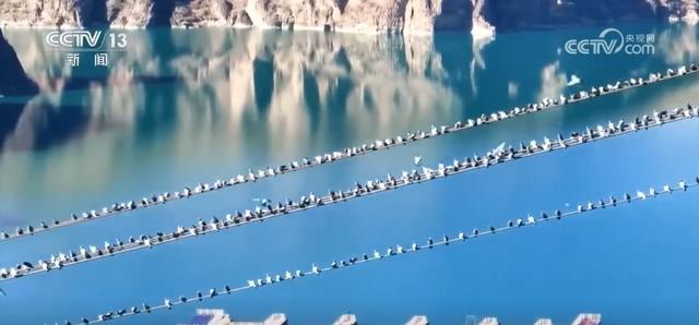 “限量版”秋冬美景成为旅游“金名片” 各地打造文旅市场新增长点