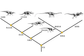 最早的恐龙蛋是“软蛋”？ | 科技最前线图片