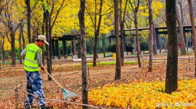 赏秋不用远足，济南森林公园诗意盎然