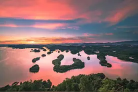 这张证别丢！多地明确：即日起，免费！图片