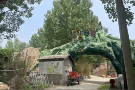 北京一乐园倒闭动物饿得“哇哇叫”？回应：升级改造  每天有饲养员定时喂养图片