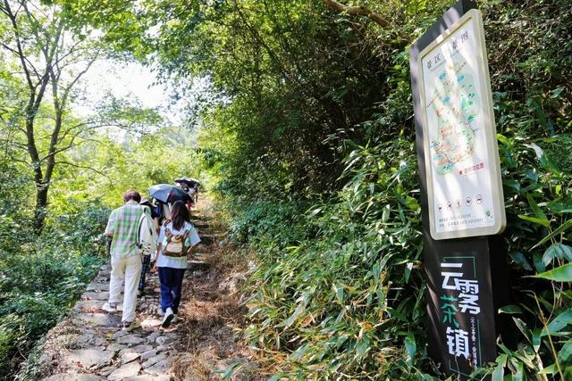 “每周一山”富阳旅游直通车文旅活动发车啦