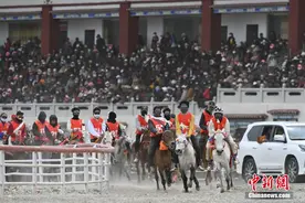 西藏当雄：高原马背上的狂欢图片